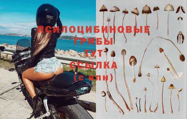 кокаин колумбия Козловка