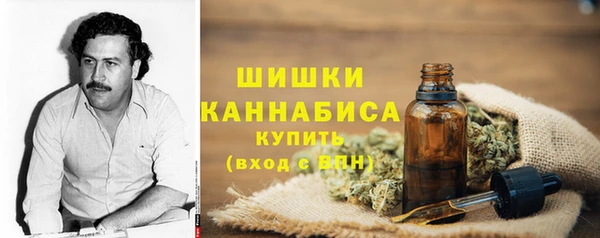 ГАЛЛЮЦИНОГЕННЫЕ ГРИБЫ Кодинск