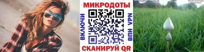 Псилоцибиновые грибы GOLDEN TEACHER Купить где Первомайск
